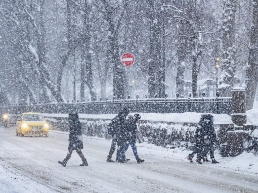 Зима возвращается со страшной силой: Петербург накроет снежный ураган