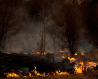 Лесопожарная служба включила Смоленскую область в красную зону опасности