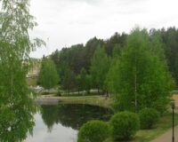 В Новгороде вынесен приговор за незаконную рубку леса в особо крупном размере