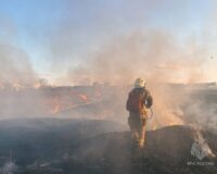 В Ивановской области с 26 апреля вводится противопожарный режим