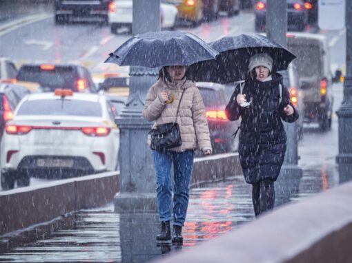Апокалипсис отменяется: москвичам не стоит боятся «шторма века» в пятницу