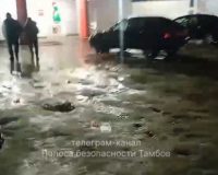 Тамбовчанка в свой День рождения насмерть сбила мужчину