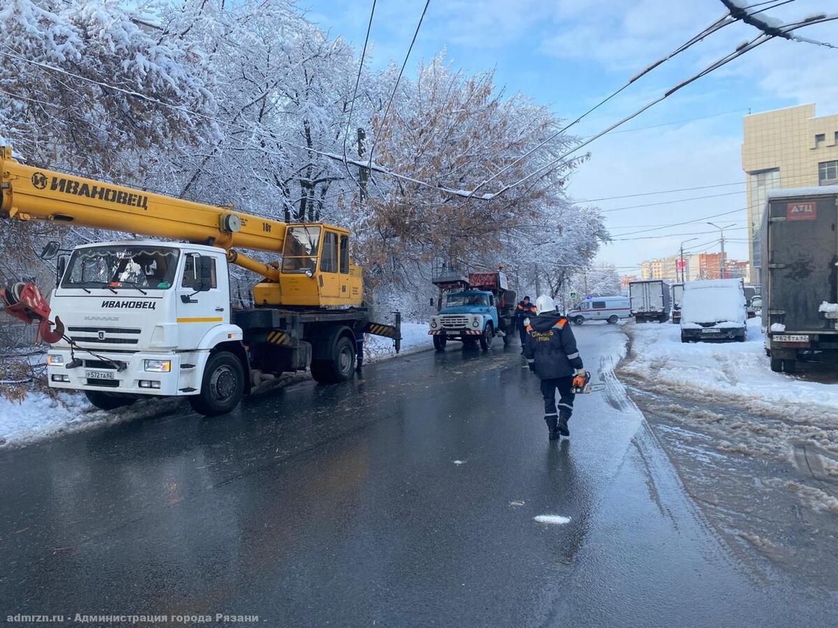 В городе Рязани из-за сильнейшего снегопада упало 186 деревьев