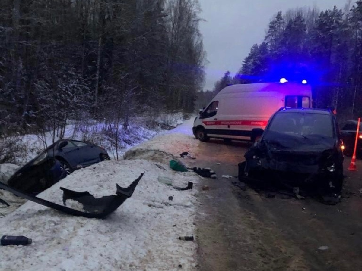 В Парфинском районе в автоаварии погибла женщина