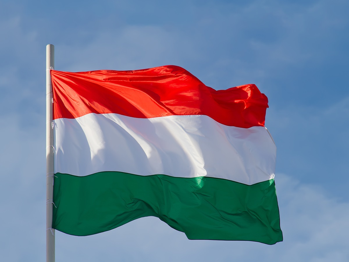 "Прописали оплеуху": заявление Венгрии о Закарпатье заставило Киев задуматься