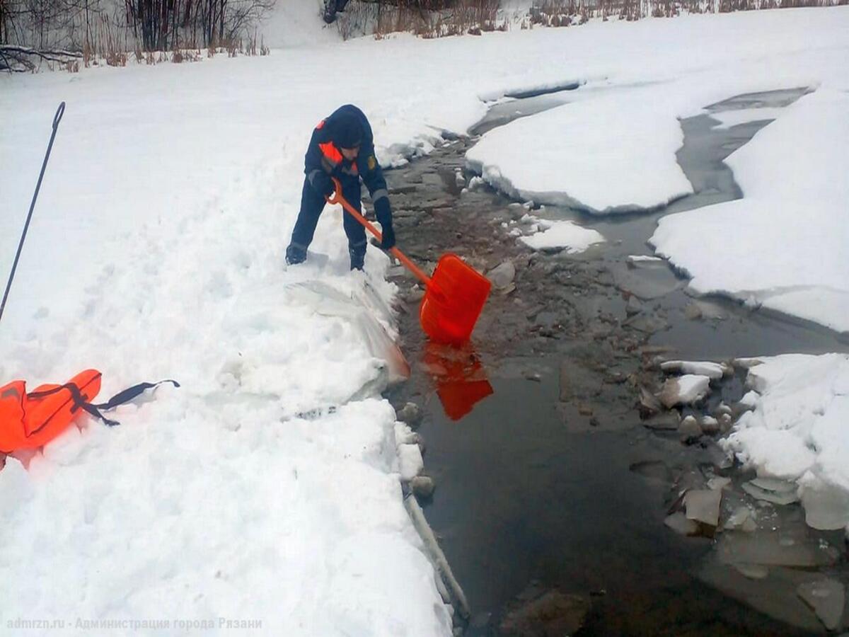 В Рязани восстановили полынью для зимовки уток на Рюминском пруду
