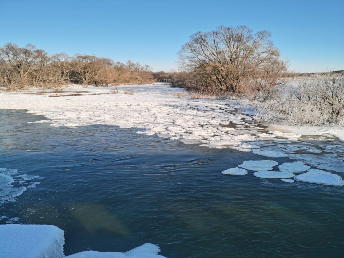 Ледяные круги на воде