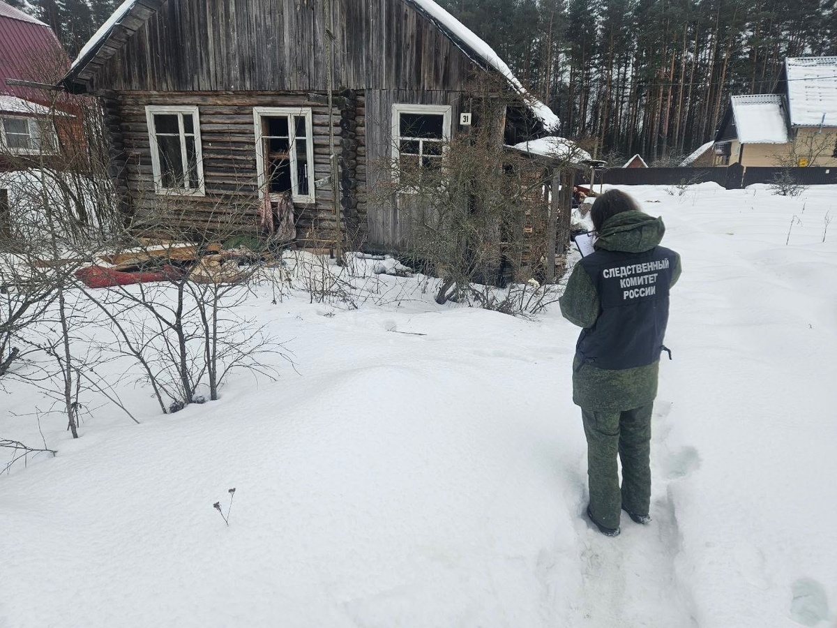 На пожаре в Демянске погибла женщина