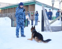 Новгородские кинологи провели экскурсию для детей участников СВО