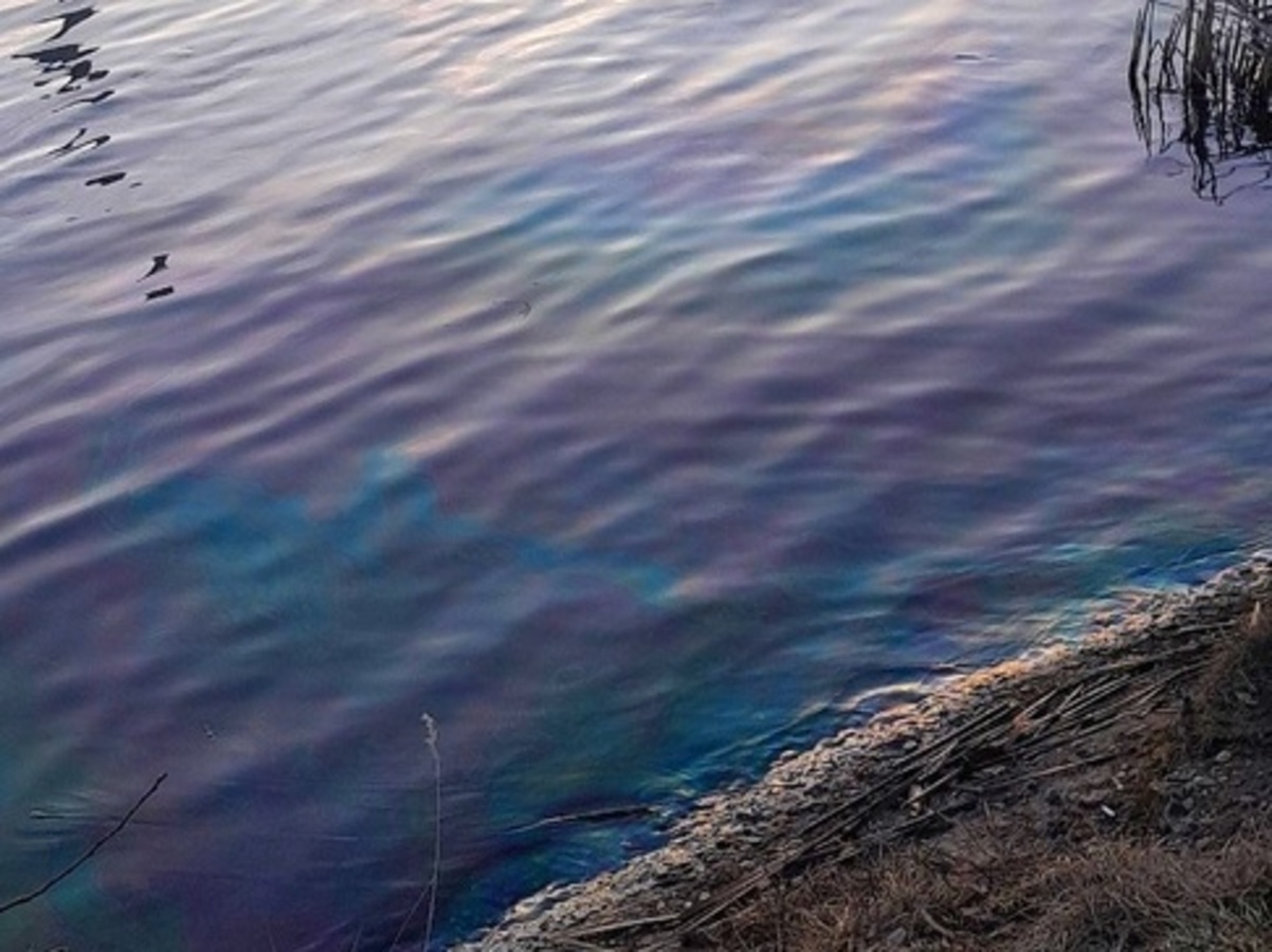 Масляное пятно на озере ТЭЦ-2 в Смоленске