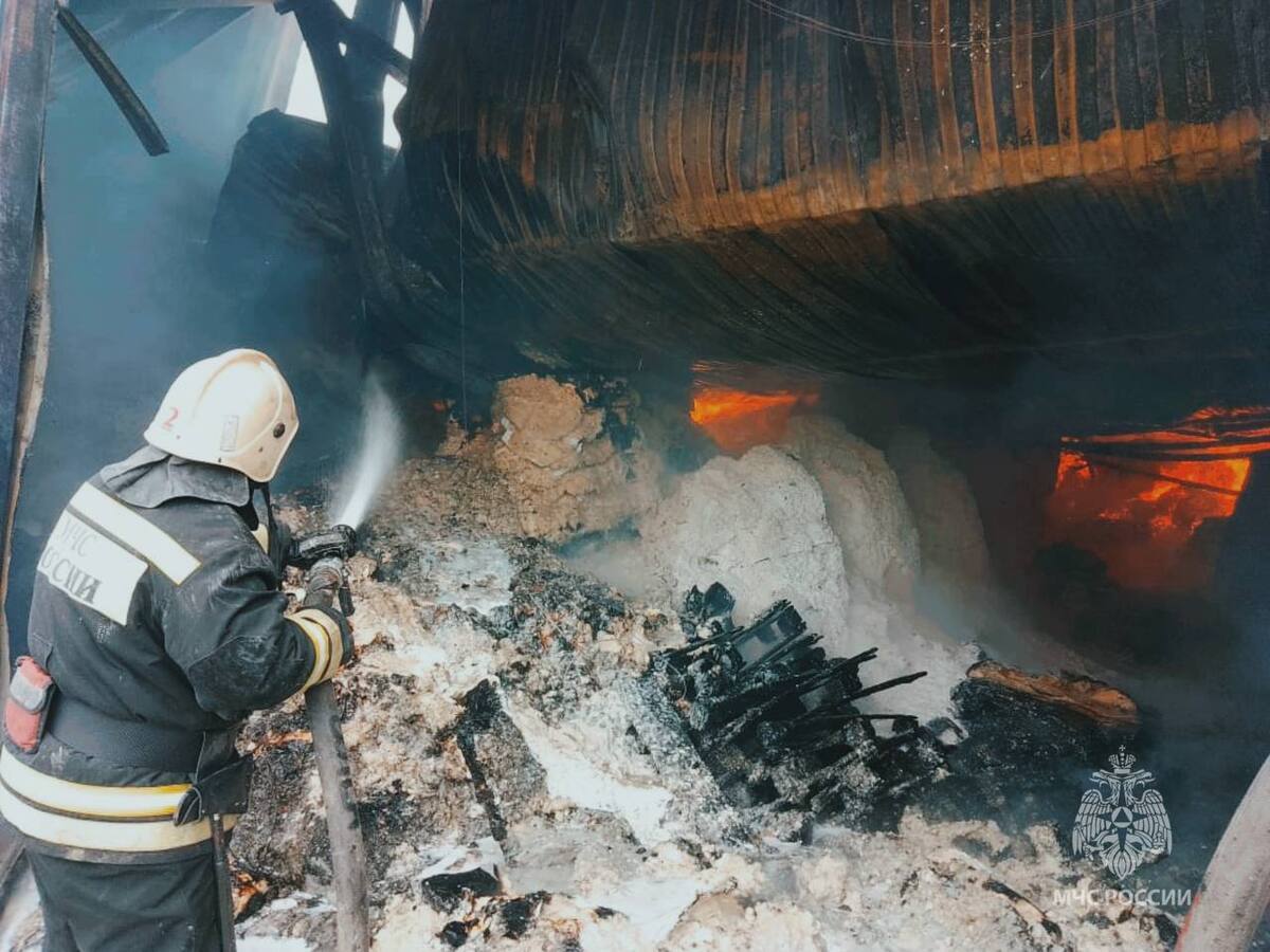 Пожар в Ботайске