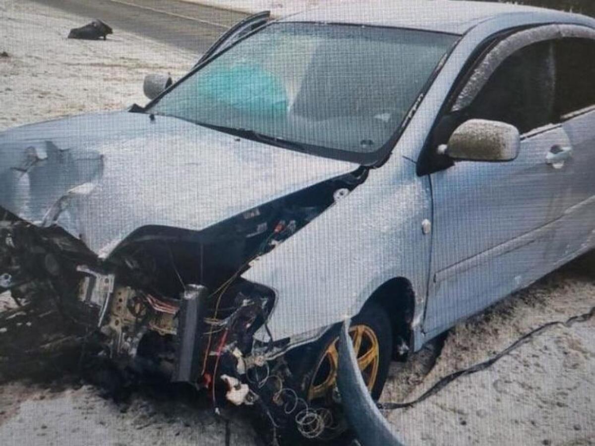 В Путятинском районе Рязанской области легковой автомобиль врезалась в столб