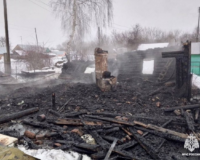 В Тамбовской области хозяин частного дома и его гость погибли при пожаре