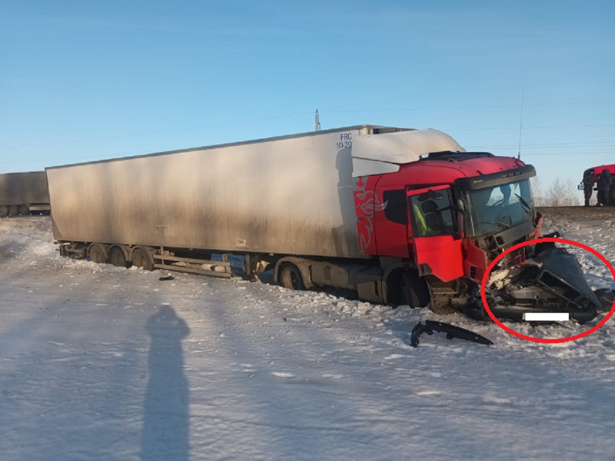 В Тамбовской области иномарка въехала под фуру, ее водитель погиб