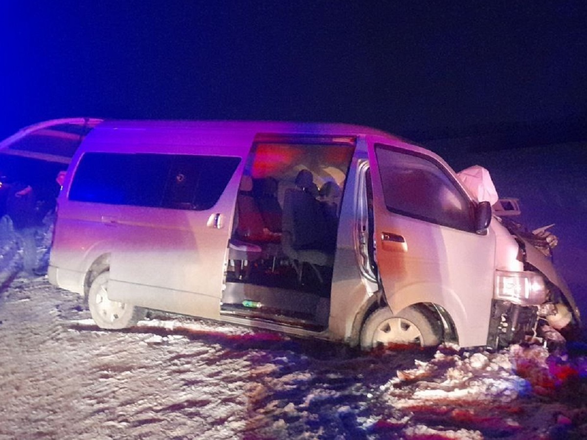В Тамбовской области погибли два пассажира микроавтобуса в ДТП с фурой