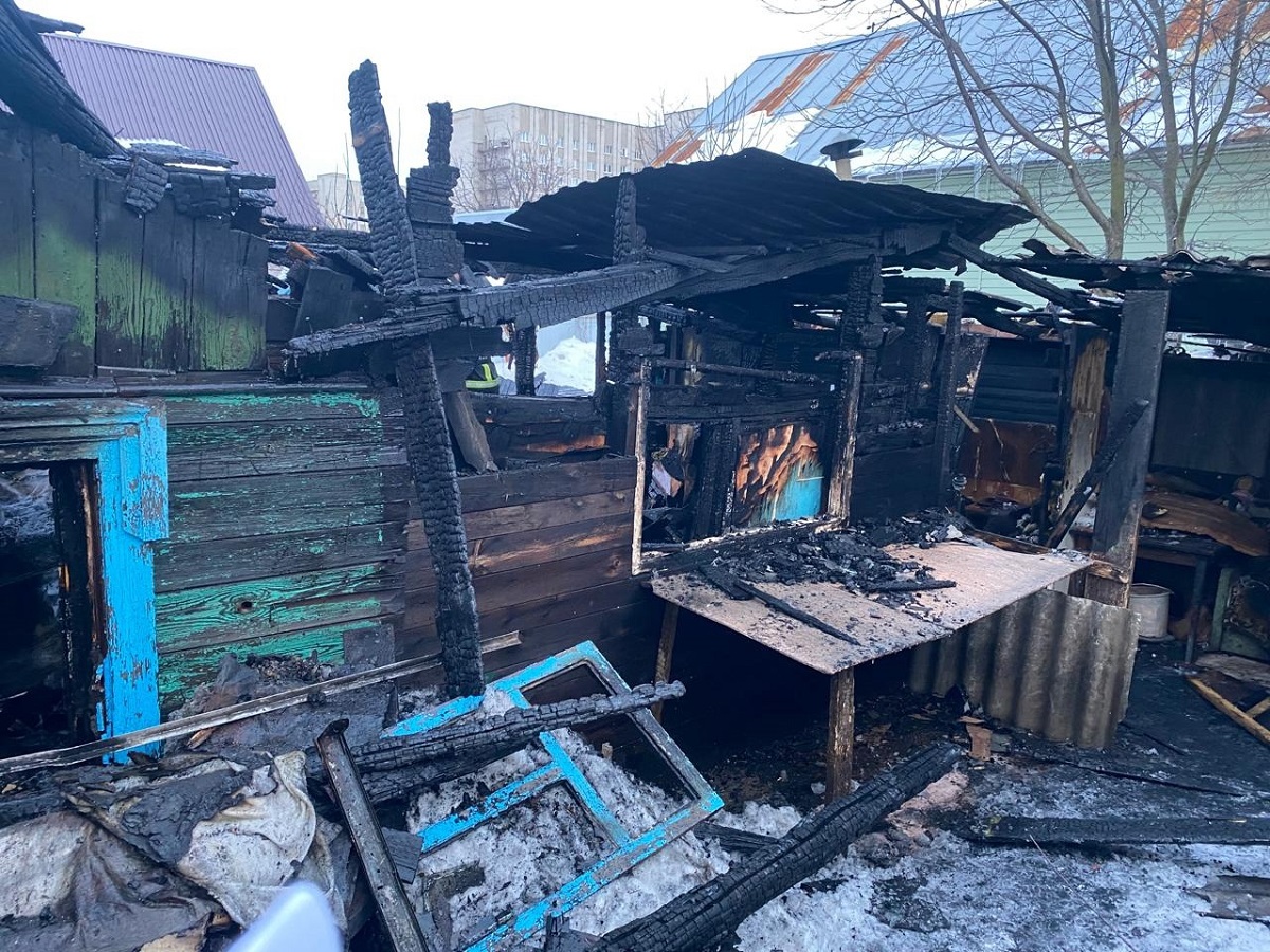 В Тамбовской области при пожаре в доме погибли отец и сын-школьник