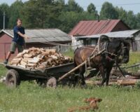 Не ешь хлеб и не спеши замуж: как избежать одиночества и нищеты в Саввин день