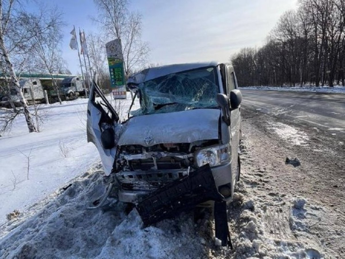 Врезавшийся в дерево на трассе «Уссури» водитель Toyota умер по пути в  больницу - province.ru