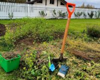 Можно найти на каждой помойке: секретный помощник опытных дачников творит чудеса