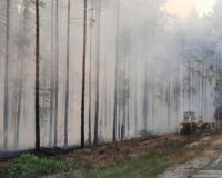 Тепло несет привычную угрозу: синоптик предупредил об опасной тенденции в Подмосковье