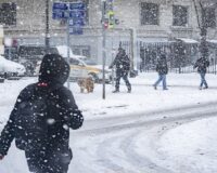 Мороз и мокрый снег: зима так просто не отпустит Москву