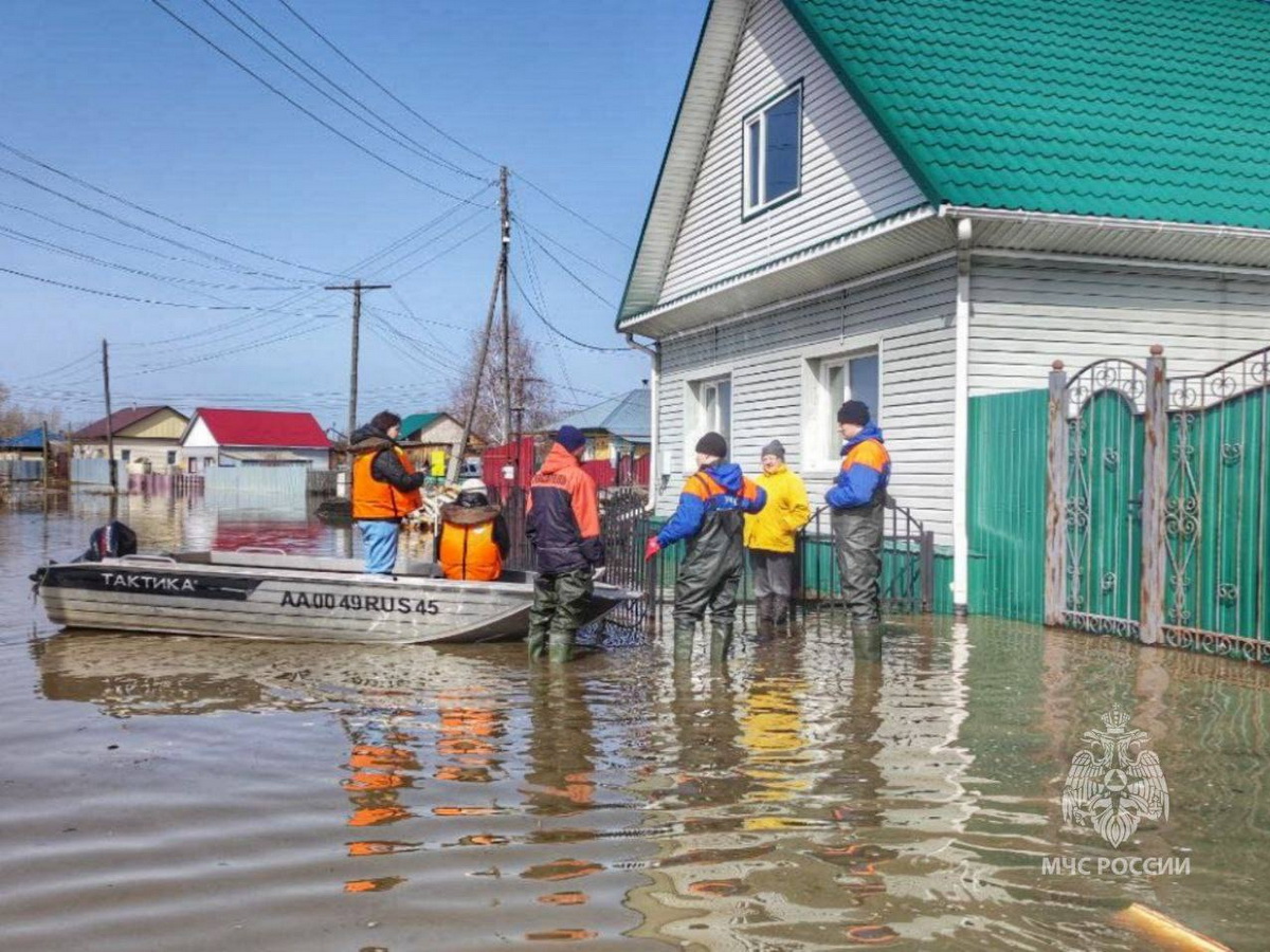 В Куртамыше из-за паводка объявили режим ЧС: эвакуация продолжается -  province.ru