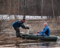 В Родниковском районе огнеборцы с сосисками спасли с затопленного островка пса