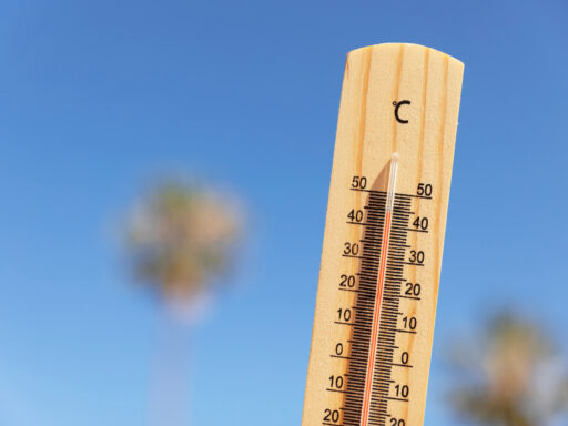 В выходные Смоленск накроет жара: днем до +27 градусов и без осадков