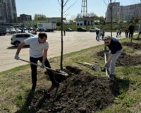 Праздник древонасаждения в Пролетарском районе