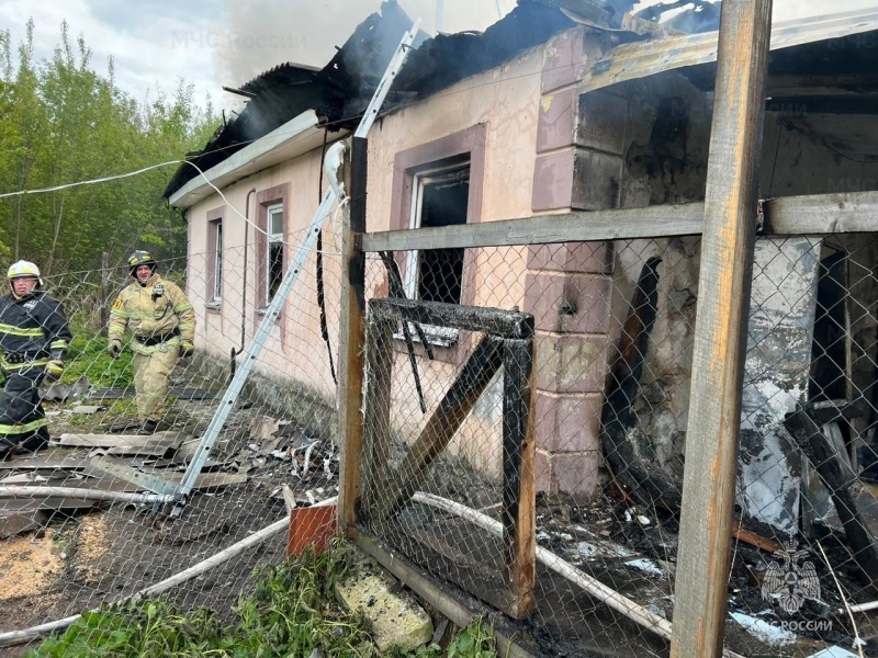 В Тульской области при пожарах в своих домах погибли мужчина и женщина