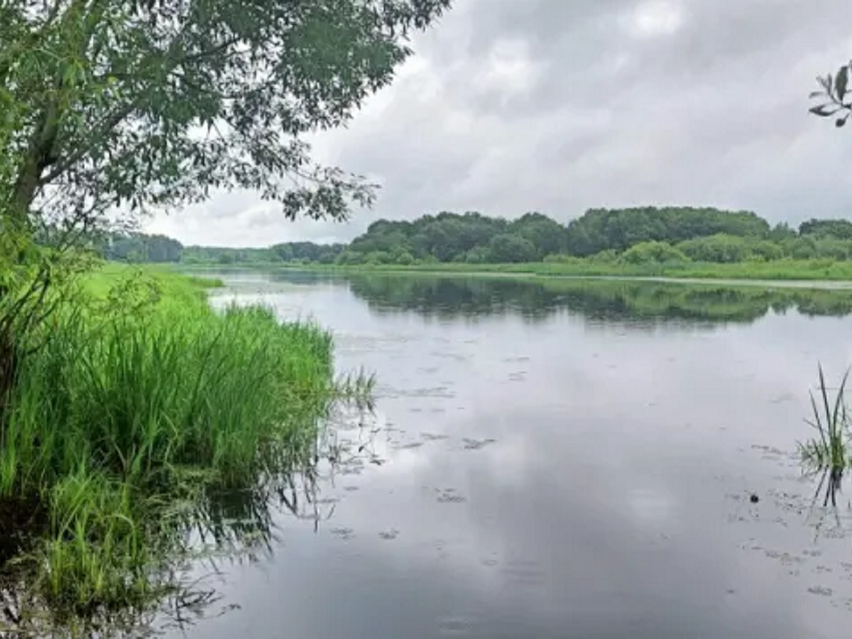 В Сельцо из озера водолазы достали тело утонувшего мужчины - province.ru