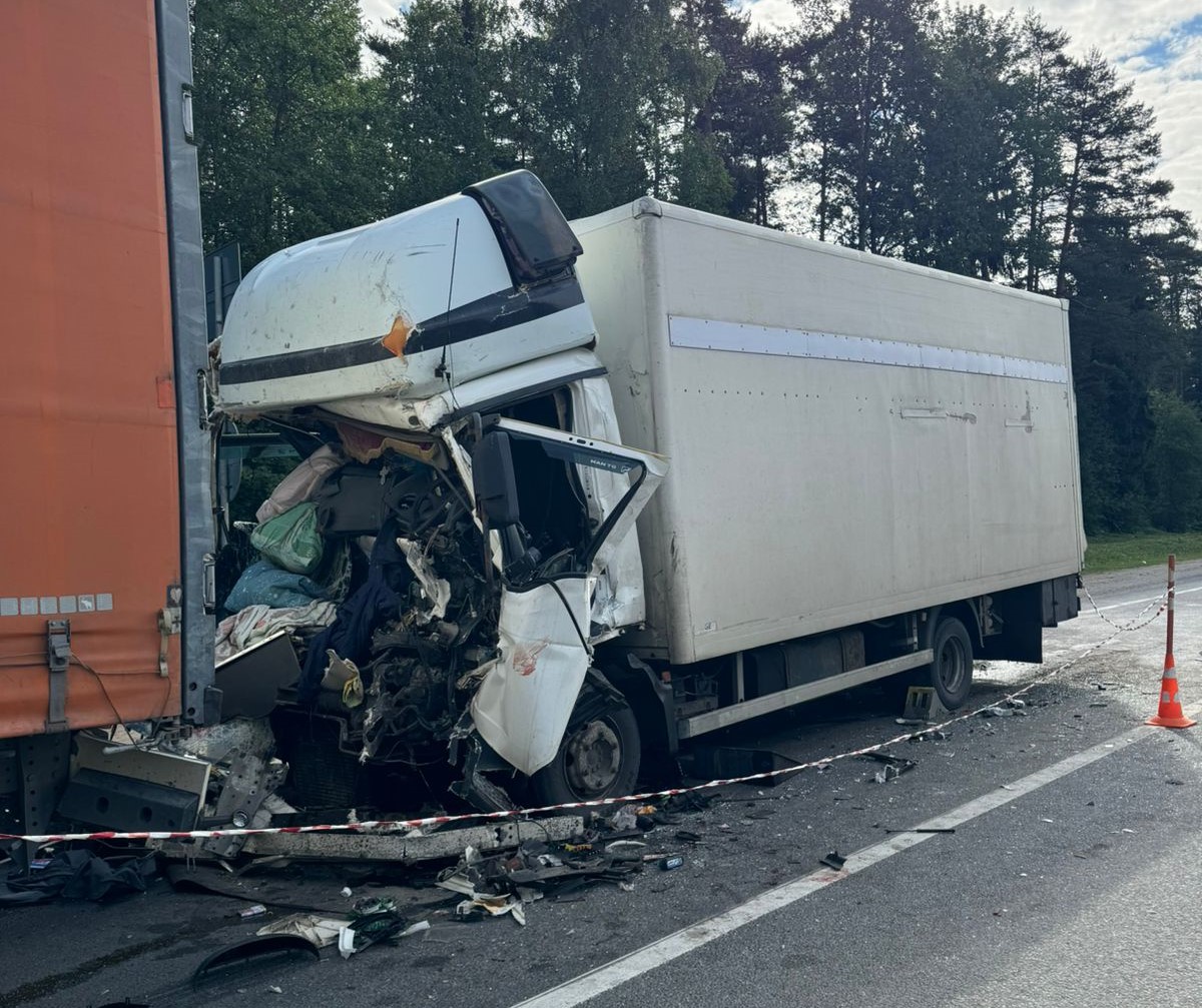 На валдайском участке межстоличной трассы погиб водитель фуры - province.ru