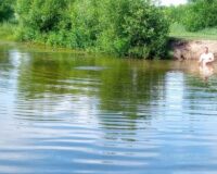 В Шуе тела утонувших отца с сыном водолазы нашли на середине пожарного пруда