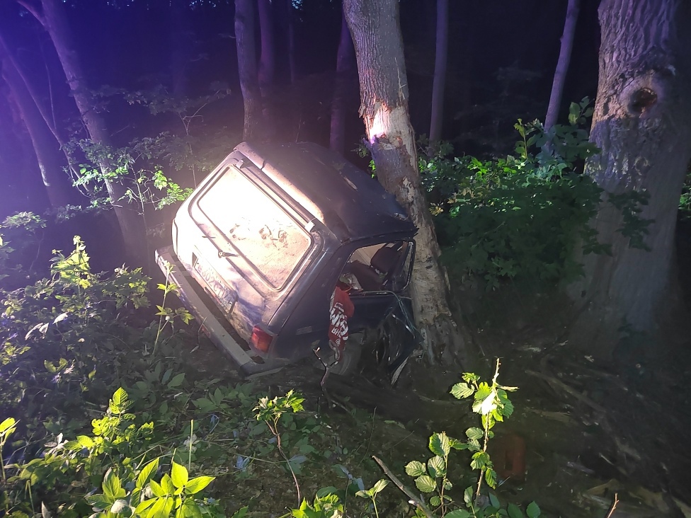 В Тульской области «Ниву» с погибшим водителем зажало между деревьями