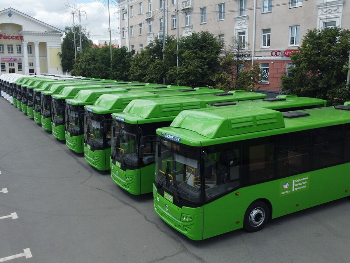 Модернизация общественного транспорта в Кургане: новые автобусы и  перспективы - province.ru