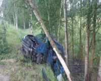 В Рязанской области легковушка врезалась в дерево, а водитель скончался