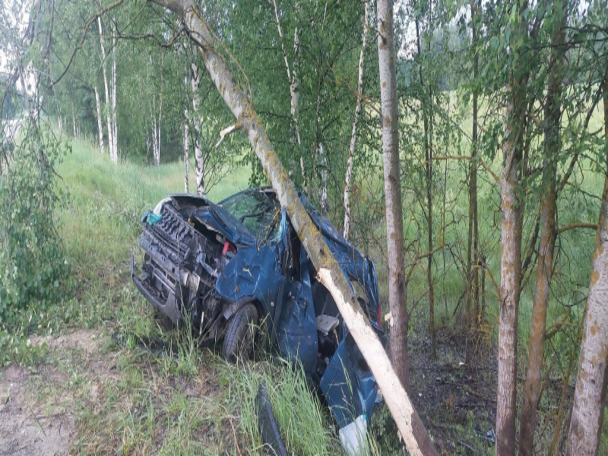 В Рязанской области легковушка врезалась в дерево, а водитель скончался -  province.ru