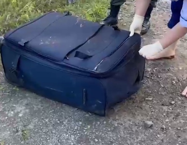 чемодан с трупом