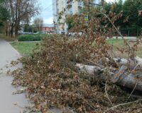 В Ивановской области 3 района остались без света из-за грозы с порывистым ветром