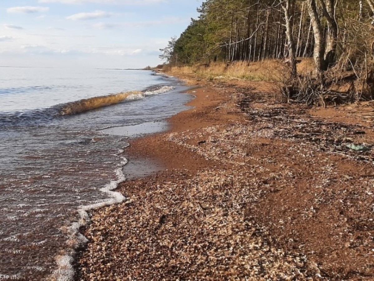 Двух подростков затянуло в водоворот на реке Зея в Приамурье, один утонул -  province.ru