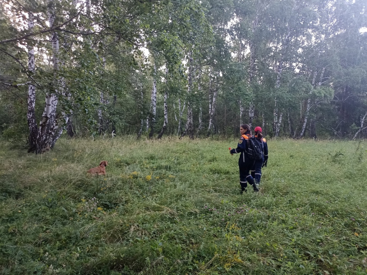 СК завел дело из-за пропажи мальчика с ДЦП в Челябинской области -  province.ru