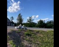 В Новгородской области из-за мусора могут возбудить уголовное дело