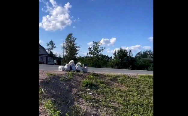 В Новгородской области из-за мусора могут возбудить уголовное дело