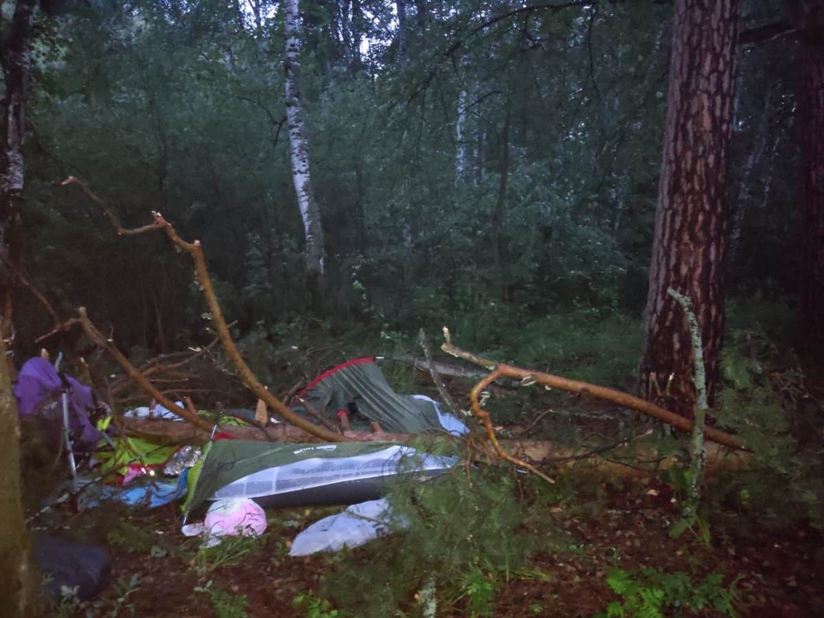 Ребенок погиб при падении сосны на палатку в Челябинской области -  province.ru