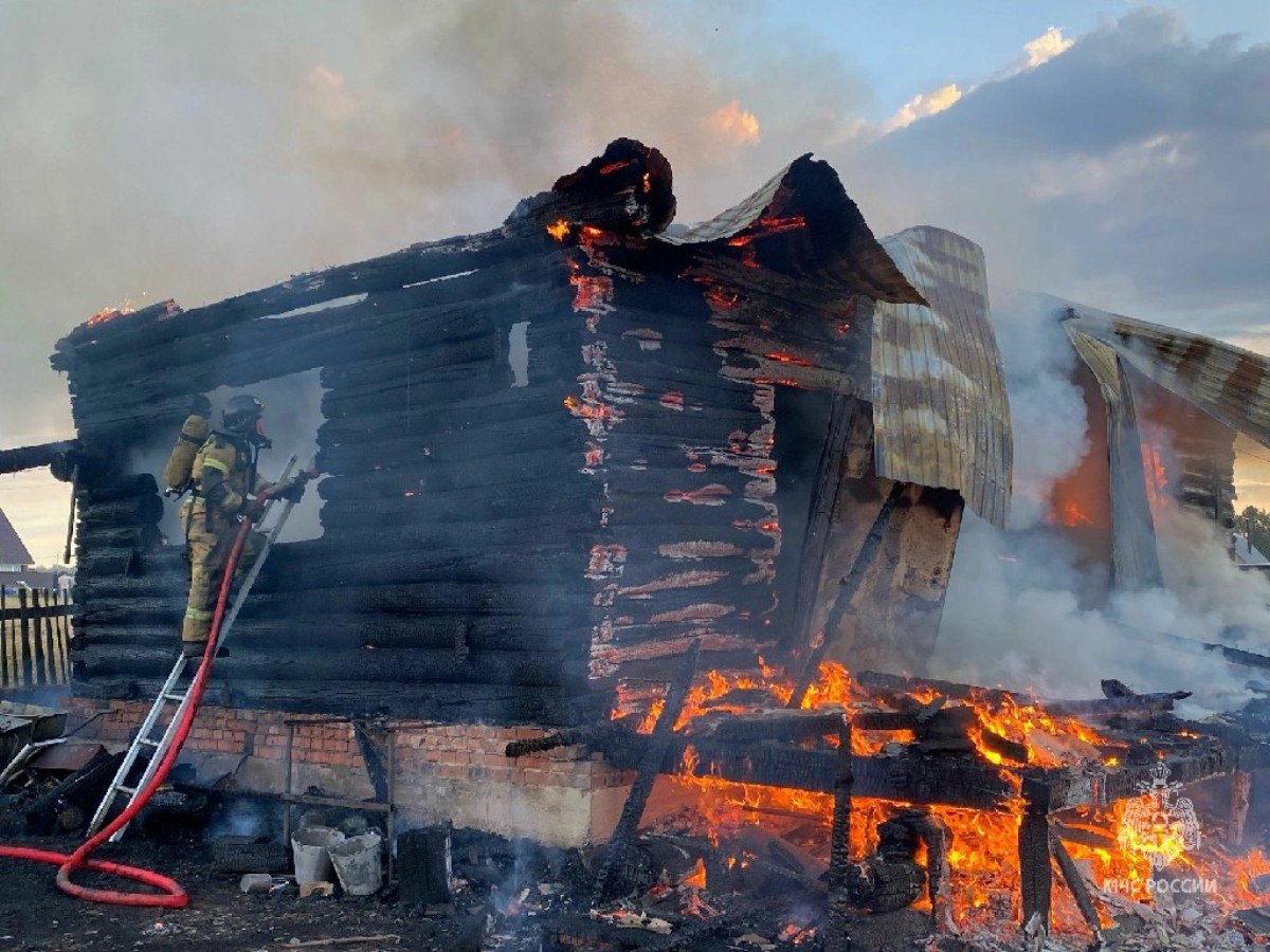 Под Челябинском сгорел дом семьи с 6 детьми, пострадали мать и малыш -  province.ru