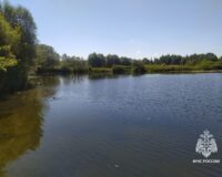 В Тульской области в Щекино при купании в пруду утонул мужчина
