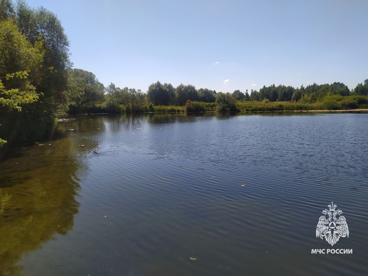 В Тульской области в Щекино при купании в пруду утонул мужчина