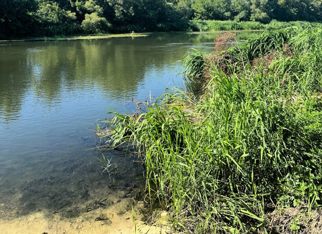 Под Тамбовом из пруда водолазы достали тело утонувшего пенсионера