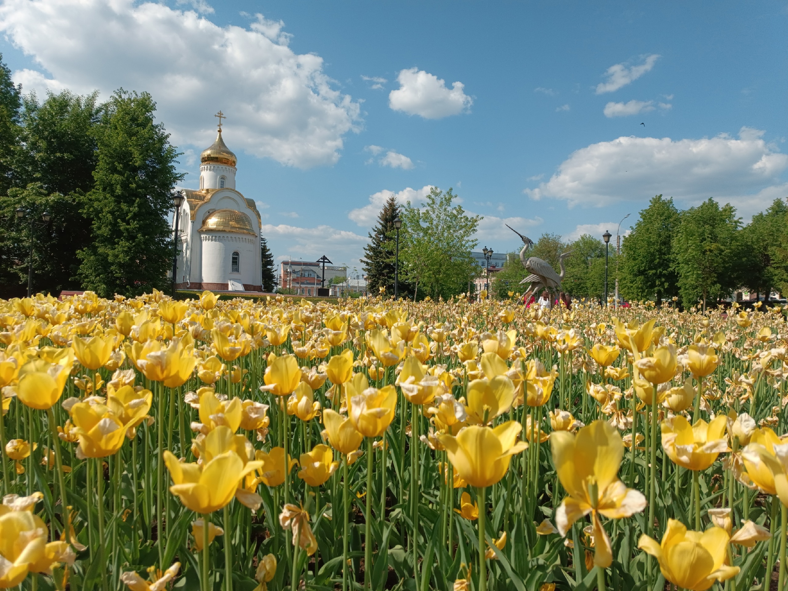 В День города в Иванове перекроют 3 улицы