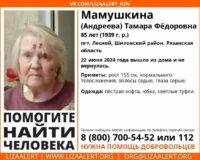 Рязанские волонтеры продолжают искать пропавшую 85-летнюю жительницу поселка Лесной Шиловского района